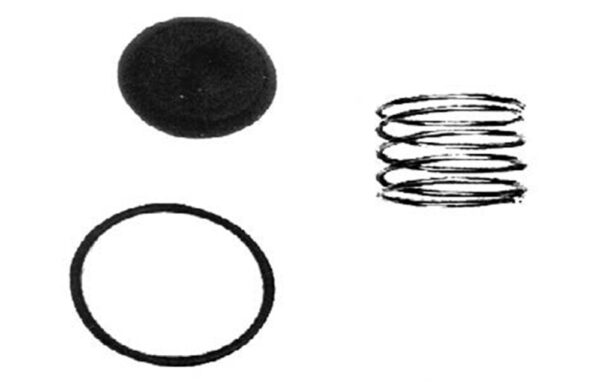 6204035 REPARO VALV.DESCARGA RAPIDA MODERNA