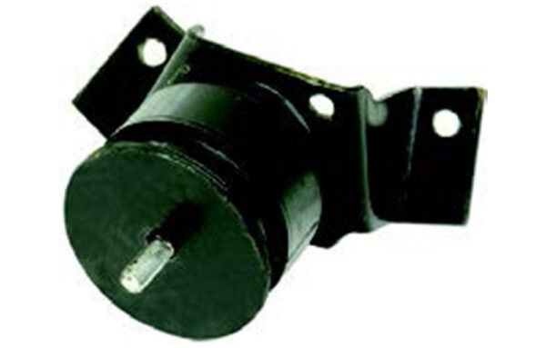 1134081 COXIM MOTOR LE DAILY 07/