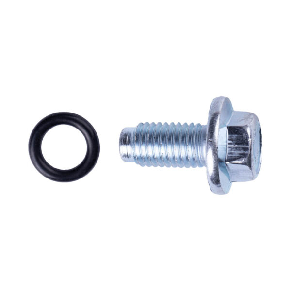 0107017 BUJAO CARTER COM ANEL VEDADOR FORD F250/F350 RANGER GAS.