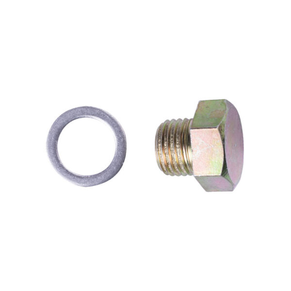 0107019 BUJAO CARTER COM ANEL VEDADOR KIA BESTA / K3600/3500