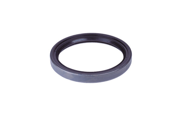 0642026 RETENTOR CUBO RODA TRASEIRA (5168 BG)